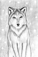 Winter Wolf